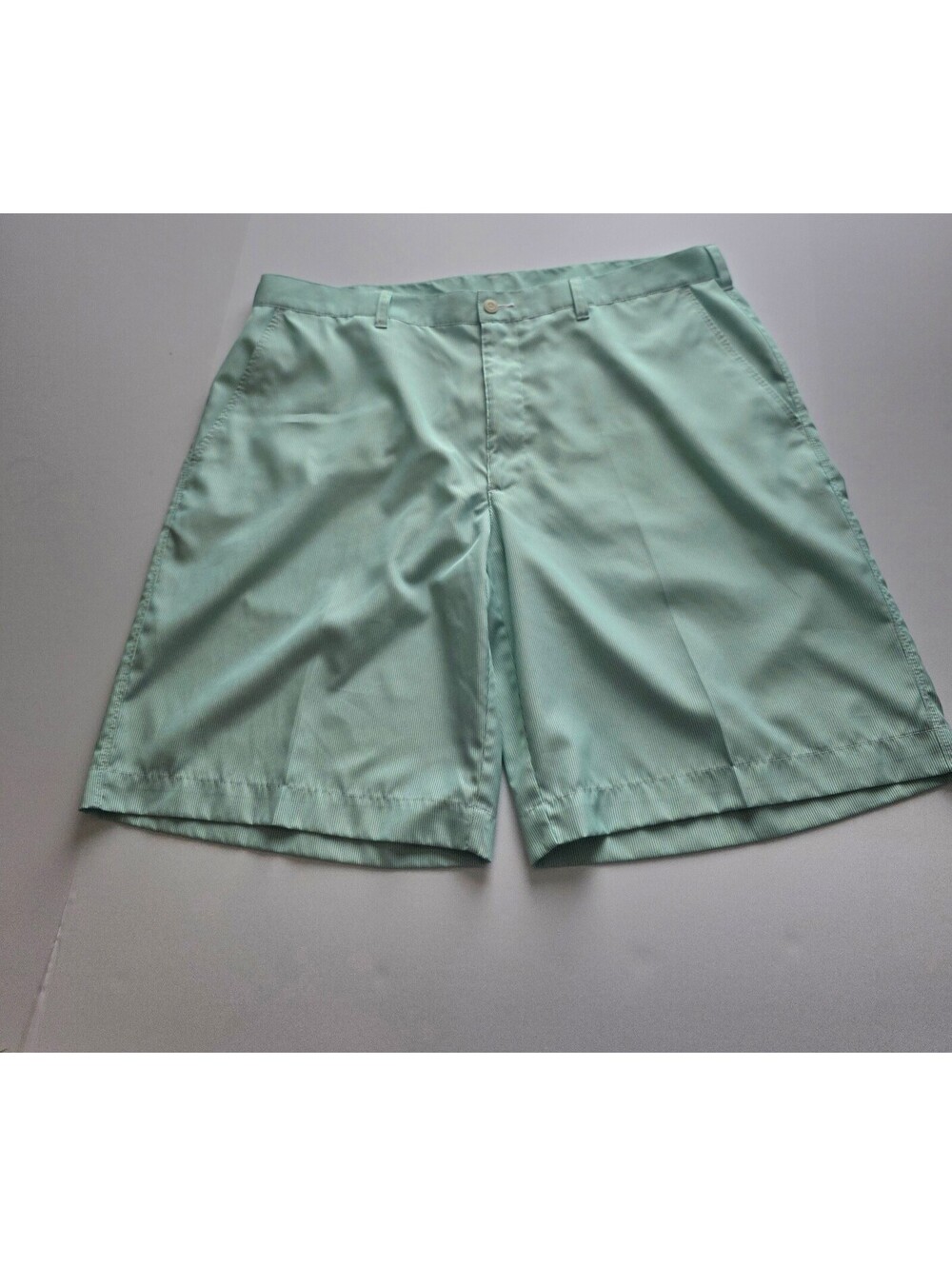 Alan Flusser Men's Light Green Polyester Shorts Size 38